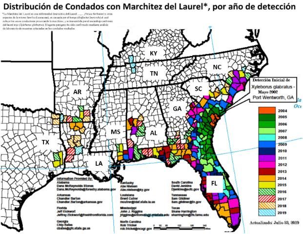 Figure 1. Mapa de la detección actual de la marchitez del laurel. Presente en 11 estados del sudeste de los E. U de América, incluyendo a Alabama, Arkansas, Florida, Georgia, Kentucky, Louisiana, Mississippi, North Carolina, South Carolina, Tennessee, and Texas.
