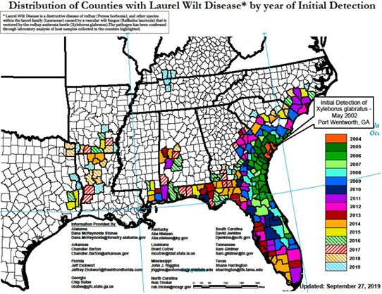 Figure 2. Distribución de la enfermedad marchitez del laurel en los Estados Unidos de América, actualizada hasta el 2019. Los escarabajos ambrosia (Xyleborus glabratus) del laurel rojo fueron detectados inicialmente en el 2002 y el vínculo con el hongo patógeno que ellos transportan (Raffaelea lauricola) fue descubierto en 2004. La marchitez del laurel ha sido detectada en todos los 67 condados de Florida.