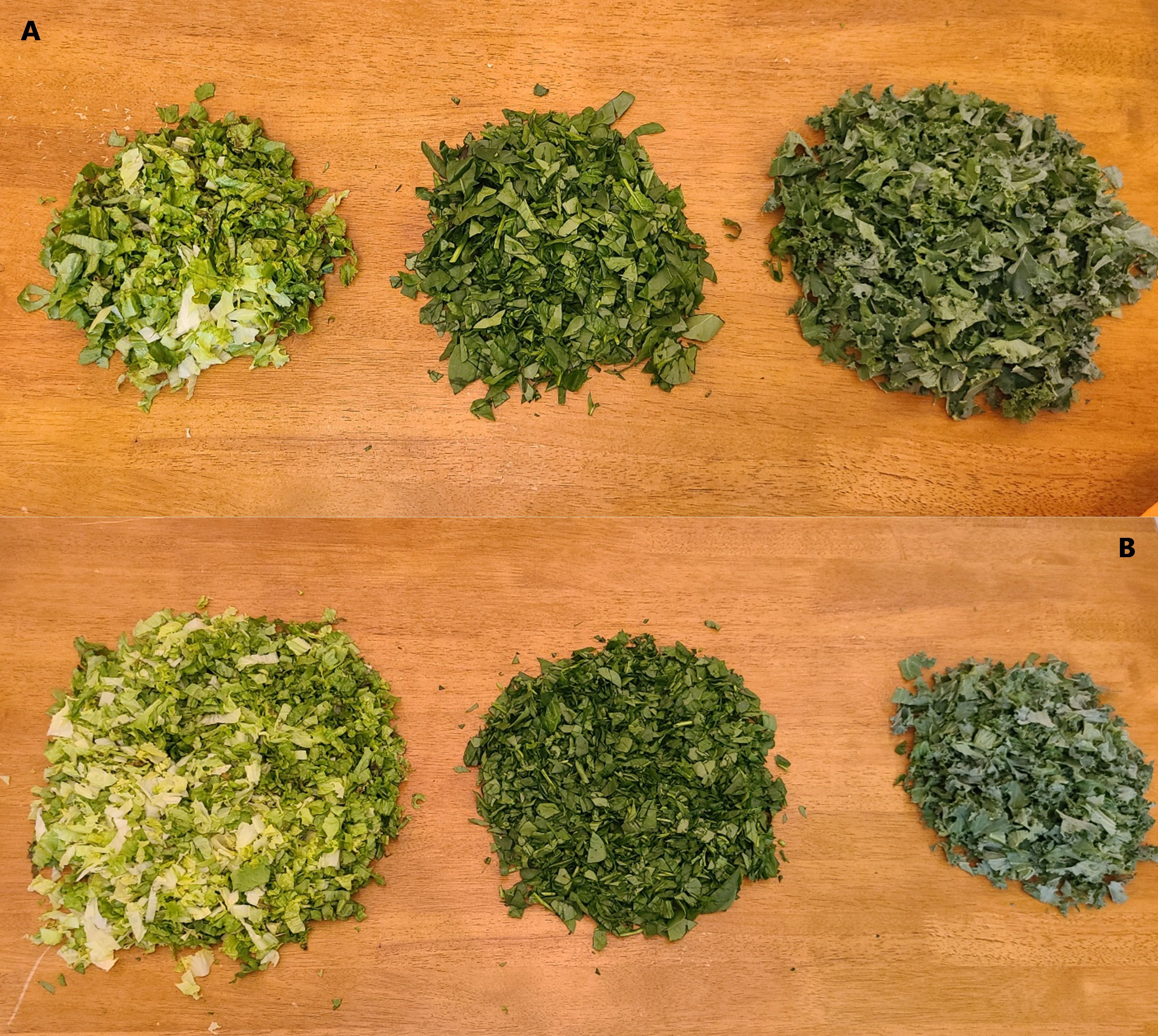 (A) 100 grams fresh weight of green leaf lettuce, spinach, and kale. (B) 300 grams fresh weight green leaf lettuce, 150 grams fresh weight spinach, and 100 grams fresh weight kale illustrating the relative proportion of leafy vegetable required to obtain the same dry weight. Dry weights for lettuce, spinach, and kale are based on 5%, 9%, and 15% dry weight/fresh weight ratio.