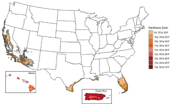 Zonas de aclimatación del Departamento de Agricultura de los Estados Unidos (USDA) apropiadas para el cultivo P. edulis; datos obtenidos de USDA ARS OSU (2012).