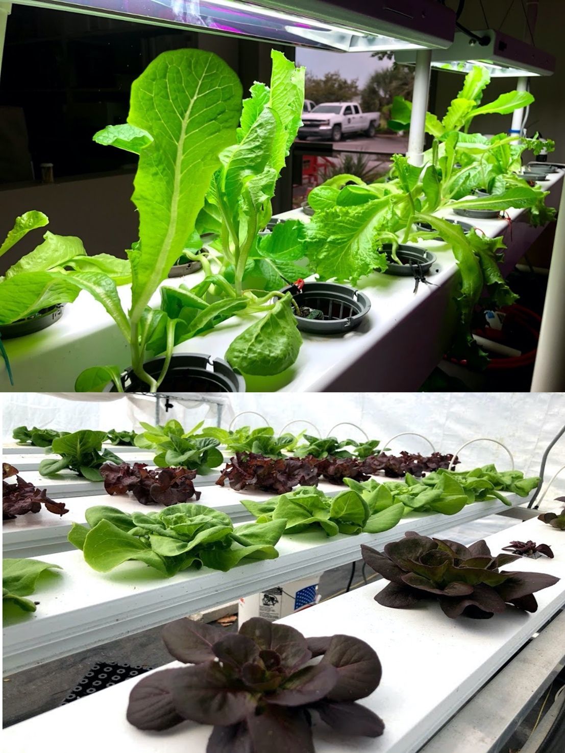Two NFT systems to grow lettuce in small settings. The systems are prefabricated and can be purchased.