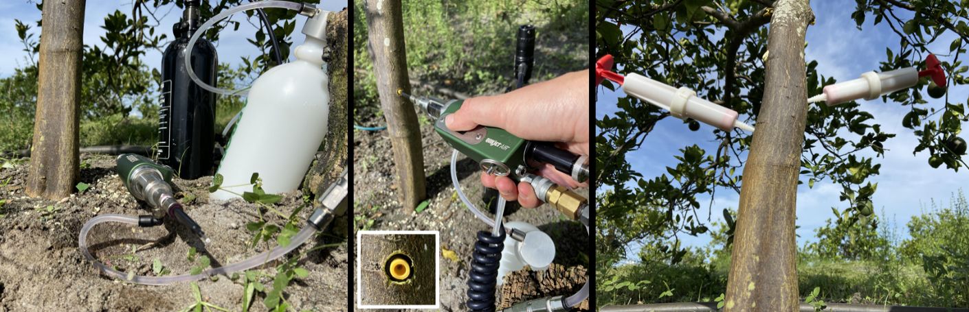 Equipment needed for high-pressure injection (left). High-pressure injection requires a plastic plug, which may remain in the tree after injection (center). Medium-pressure injection using a spring-loaded syringe that is removed after the material has been taken up (right). 