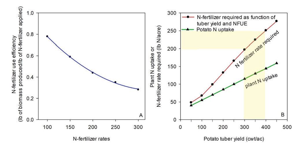 Potato N-fertilizer use efficiency as a function of N-fertilizer rate (A); and the relationship between total tuber yield (cwt/ac) and plant N uptake (lb/acre of N), N-fertilizer use efficiency (lb of biomass/lb of N-fertilizer applied) and N-fertilizer rate required (lb/acre of N) as a function of total tuber yield (cwt/ac) (B). 