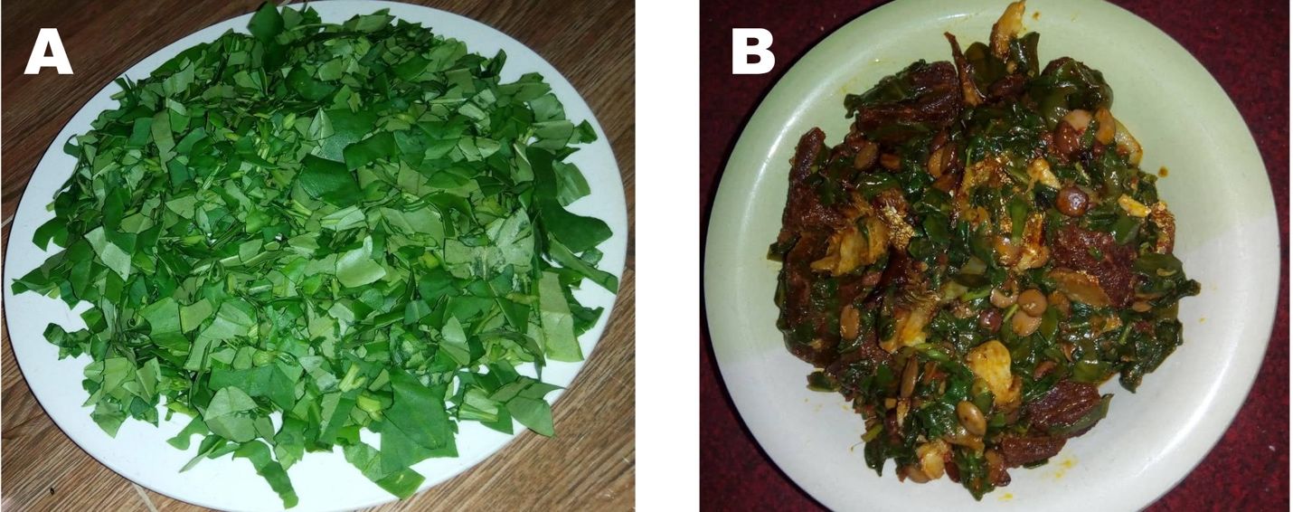 (A) Chopped waterleaf, and (B) cooked waterleaf soup.  