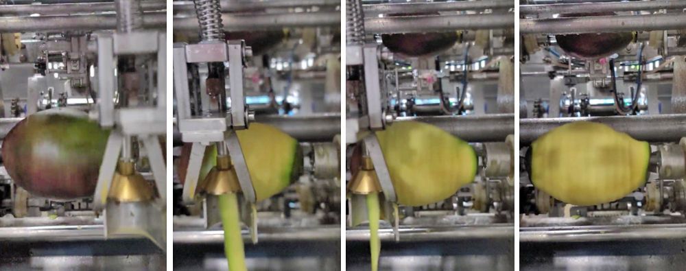 A machine being used to peel mangos. 
