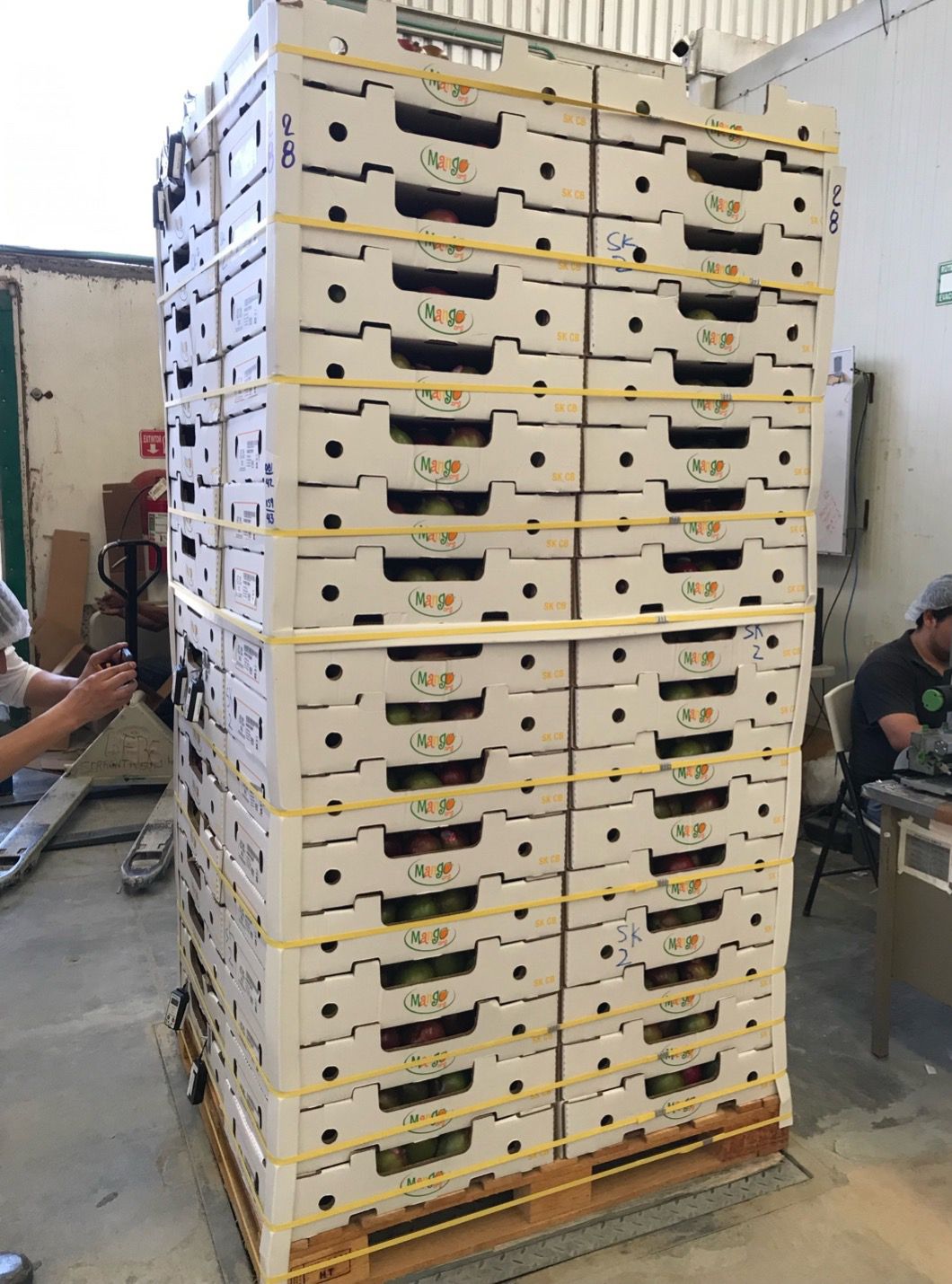 A pallet of properly designed 5-down mango cartons recommended by the National Mango Board (https://www.mango.org/professionals/industry/mango-packaging-palletization/). 