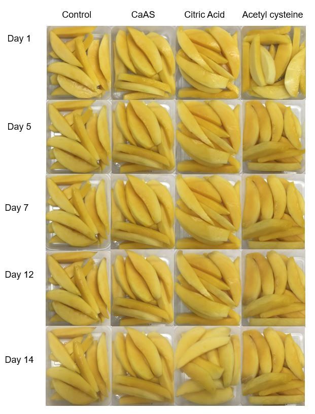Keitt mango slices after dipping in calcium ascorbate (CaAS), citric acid, or acetyl cysteine and stored for up to 14 days at 5°C (41°F). 