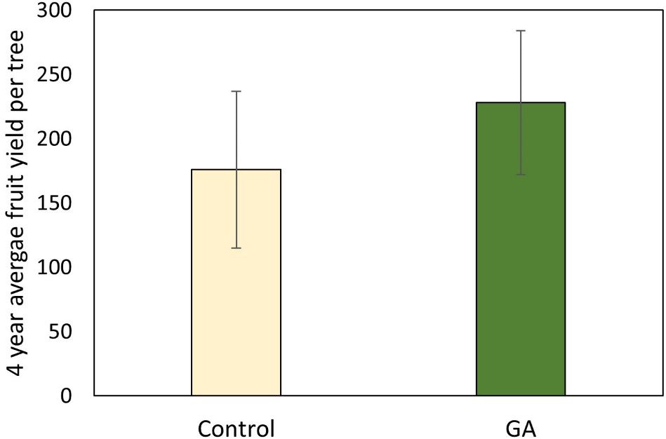Four-year average (2017–18 to 2020–21) yield of untreated and GA-treated ‘Valencia' trees. On average GA-treated trees had a significantly higher yield (p=0.06) than untreated.