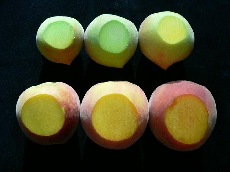 Internal flesh color changes of peaches during growth and development. 
