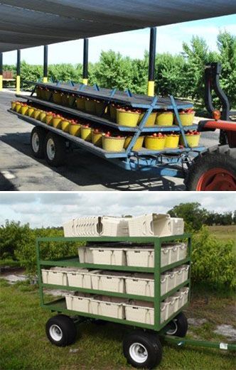 Examples of carts used to move buckets or totes from fields to the packing location. 