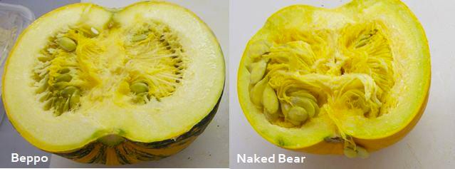 Diferencias en el color de la carne de los cultivares de calabaza 'Beppo' y 'Naked Bear'.