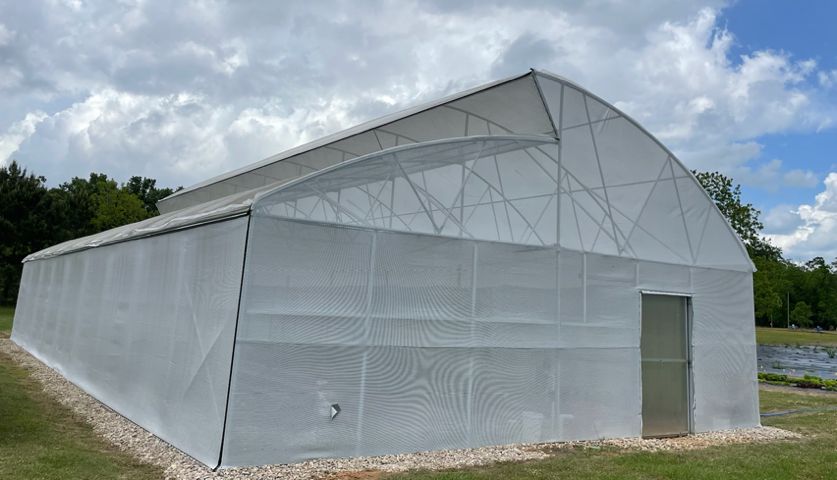 A high tunnel-like tropical screen house structure with a top-vented and poly-covered roof used for protecting crops from excessive rain in Quincy, FL.