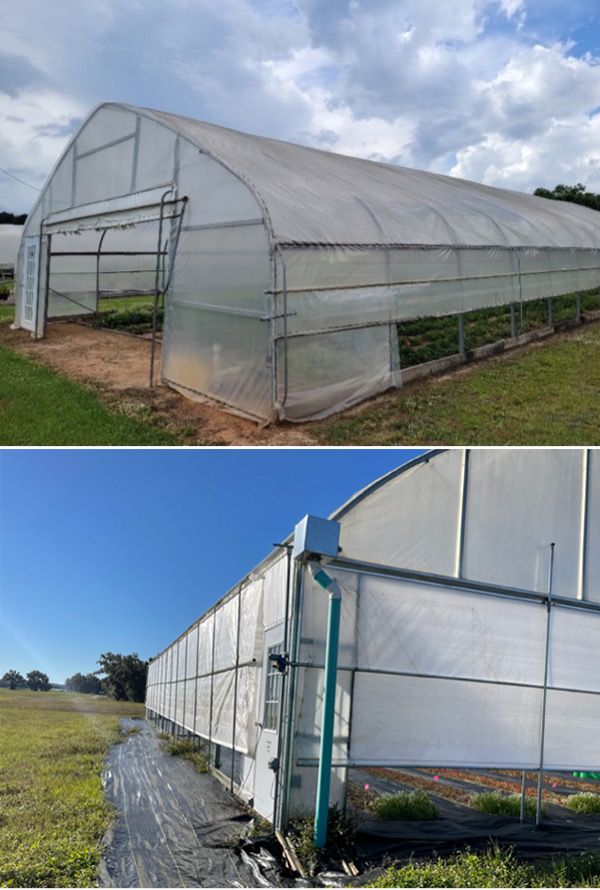 A single-bay high tunnel with roll-up sidewalls and end walls operated manually (left) vs. a multi-bay high tunnel with an automated control system for sidewall and end wall ventilation based on inside air temperatures (right).