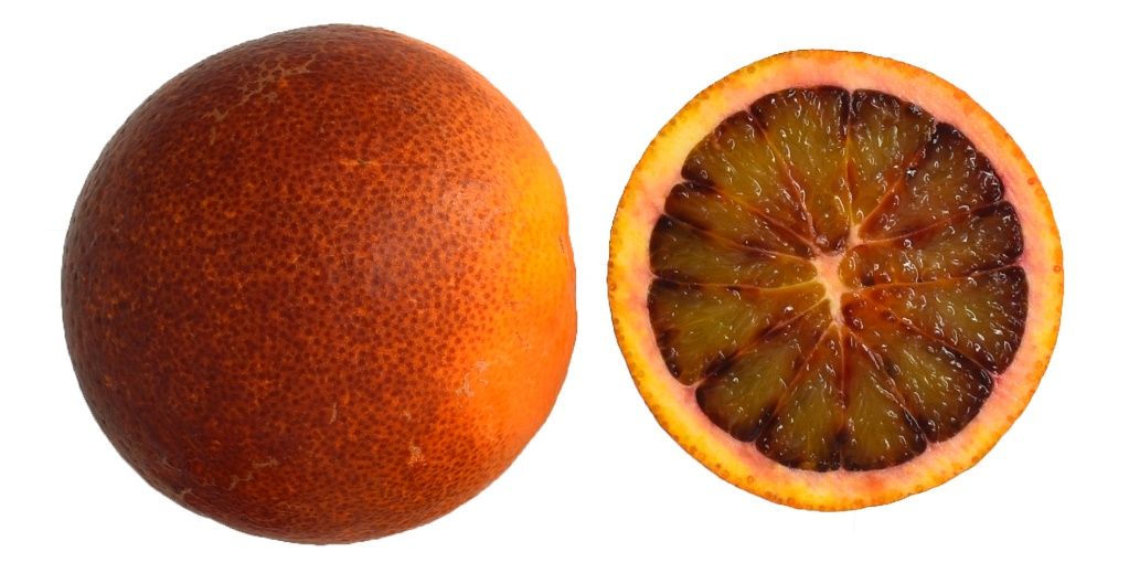 Anthocyanin accumulation in both flesh and peel of ‘Sanguinello’ blood orange cultivar. 