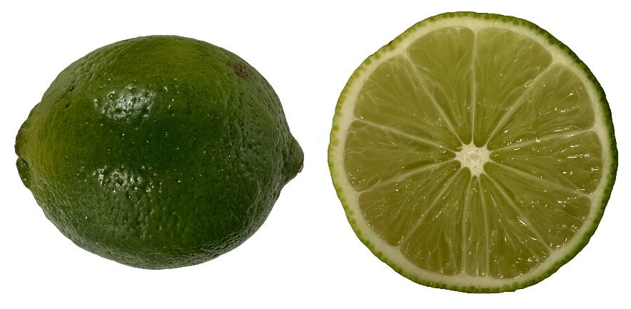 The green color of Mexican lime fruit is due to the presence of chlorophylls.