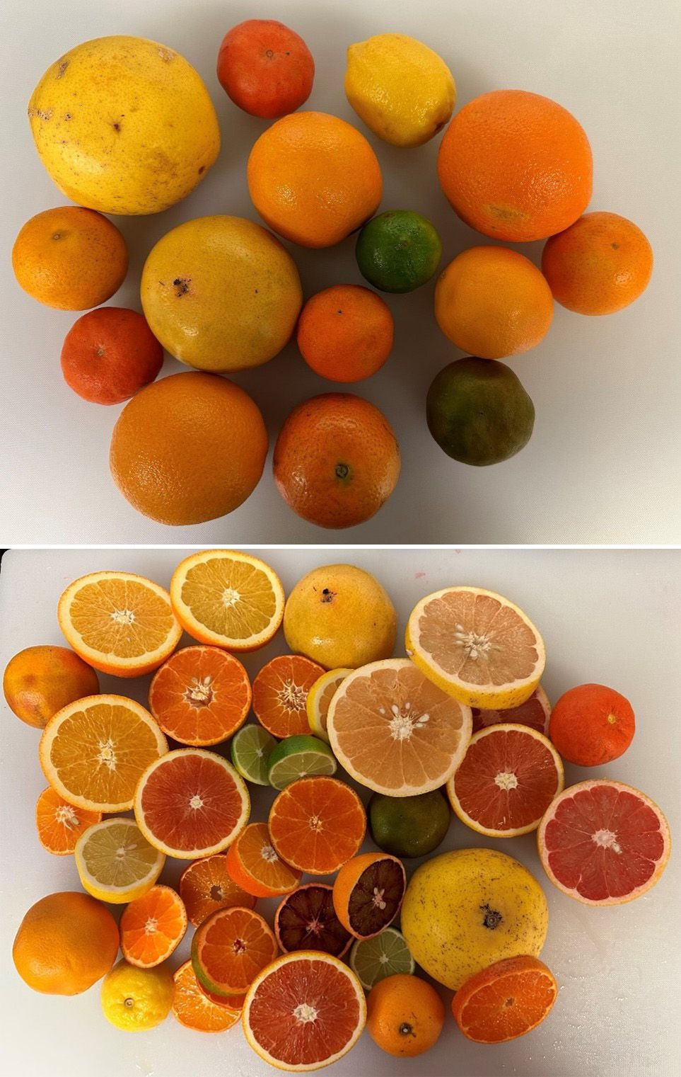 The diversity in fruit size, peel, and flesh color in citrus fruit species.