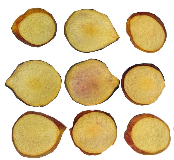 Freeze dried (lyophilized) ‘UFOne’ peach slices.