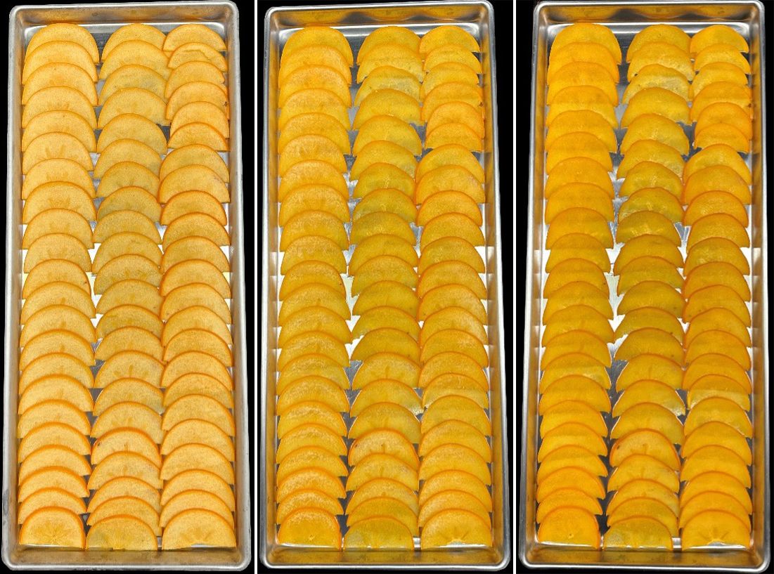 Slices of ‘Hachiya’ persimmon fruit frozen at -4°F (left), defrosting at room temperature (middle), and fully thawed (right).