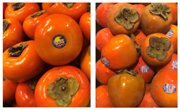 Japanese persimmon fruit types: non-astringent variety ‘Fuyu’ (left) and astringent variety ‘Hachiya’ (right).