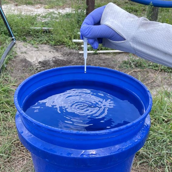 A hand holding a dropper over a blue bucket of water

Description automatically generated