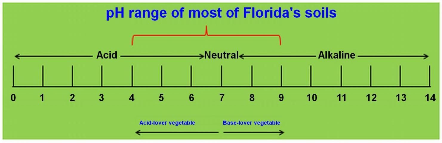 Chart showing crop preferences on the pH scale. The whole range is from 0 to 14. Neutrality is labeled at 7, while acidity is marked with numbers below 7 and alkalinity is with numbers above 7. The pH range of most Florida soils is marked as a range of 4 to 9. Also, it says vegetables preferring acidity should be in the 4 to 7 range, while 7 to 9 is for those preferring basic/alkaline pH.