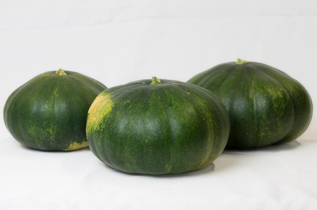 Three pumpkin-like gourd vegetables that each are mostly green with a yellow spot and have very short green cut stems.
