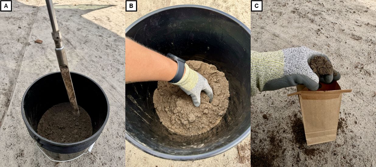 A shows the soil augur sticking out of a bucket of soil; B shows a gloved hand mixing the different soils; and C has a gloved hand scooping some of that soil into a paper soil sample bag.