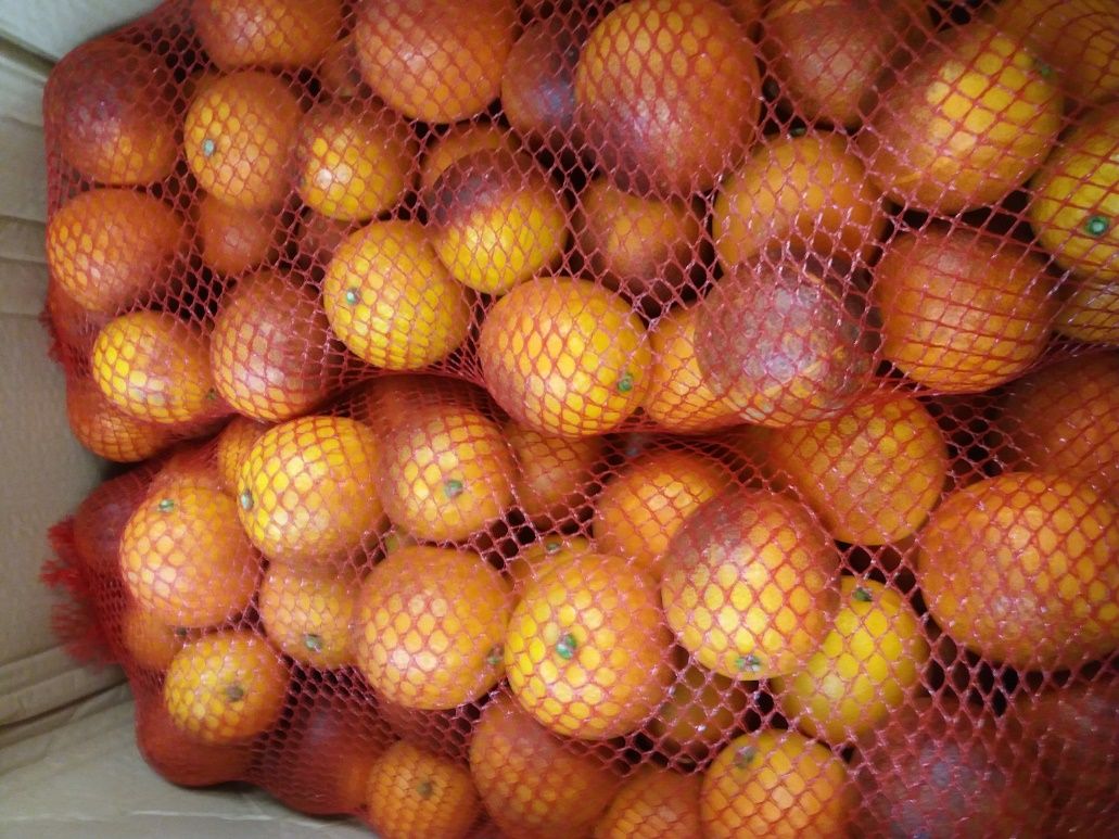 Harvested ‘Sanguinello’ blood orange fruit at commercial maturity grown in Mediterranean climate conditions (Valencia, Spain).