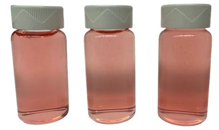Color of ‘Budd Blood’ blood orange juice from fruit grown in a subtropical climate in Quincy, FL, and picked at commercial maturity. The juices are dark pink.