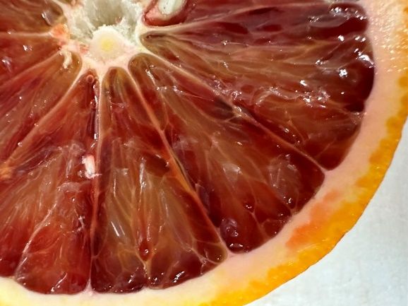 Anthocyanin accumulation of ‘Moro’ blood orange in the vesicles closest to the segment membranes.