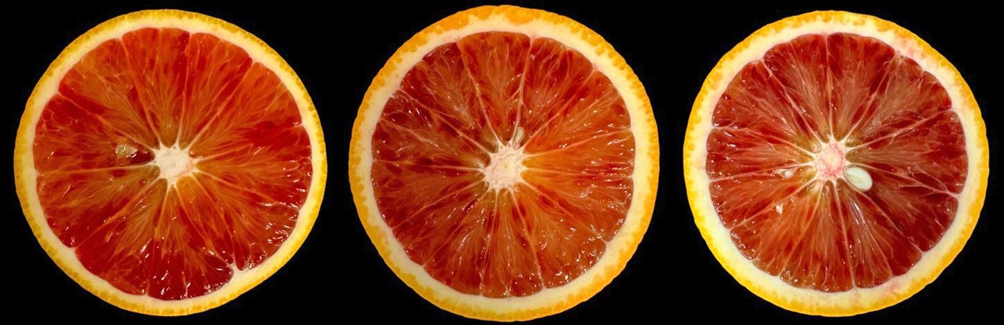 Anthocyanin pigment in ‘Moro’ blood orange fruit grown in Florida.