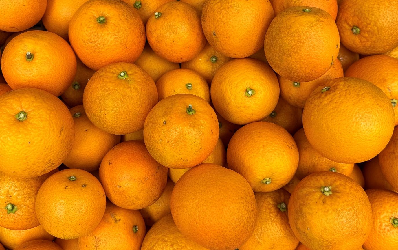 Fruit of ‘Moro’ blood orange at commercial maturity stage.