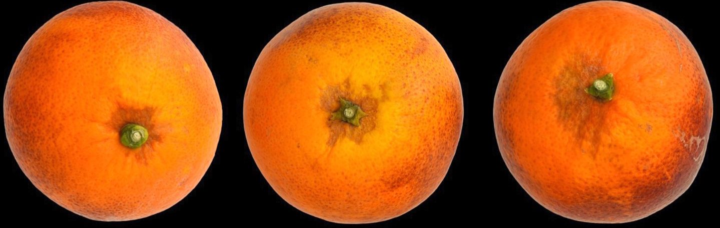 Stem-end rind breakdown in ‘Sanguinello’ blood orange fruit.