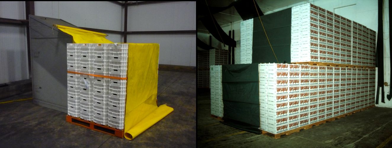 A cold room where a machine faces pallets of fruit on one side and a thin sheet covers the top and opposite side of the fruit pallets.