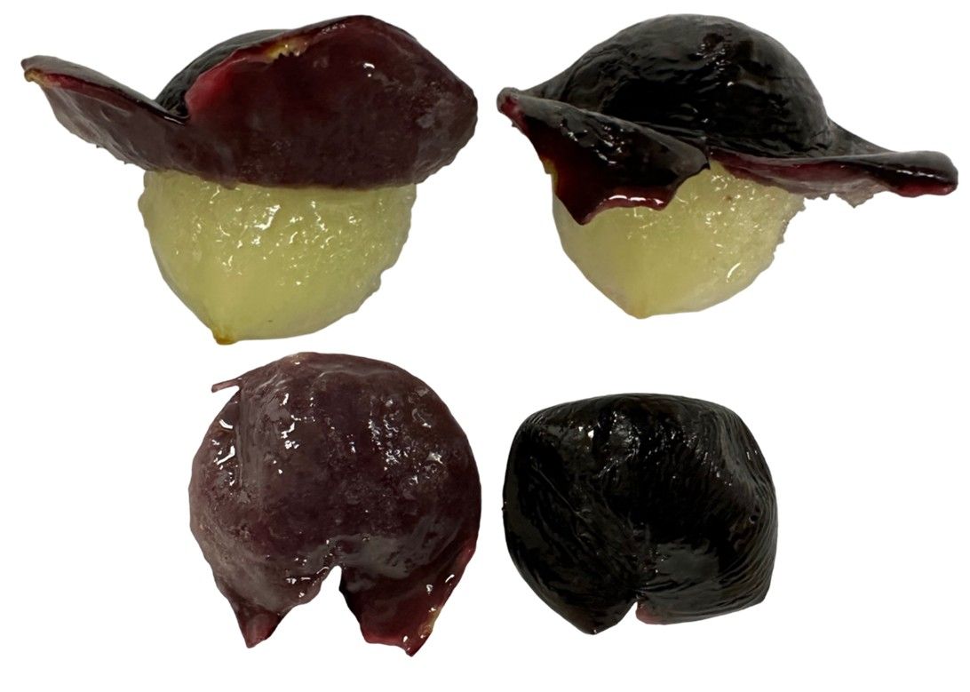 Muscadine fruit with the peel partially removed (top) and completely removed (bottom).