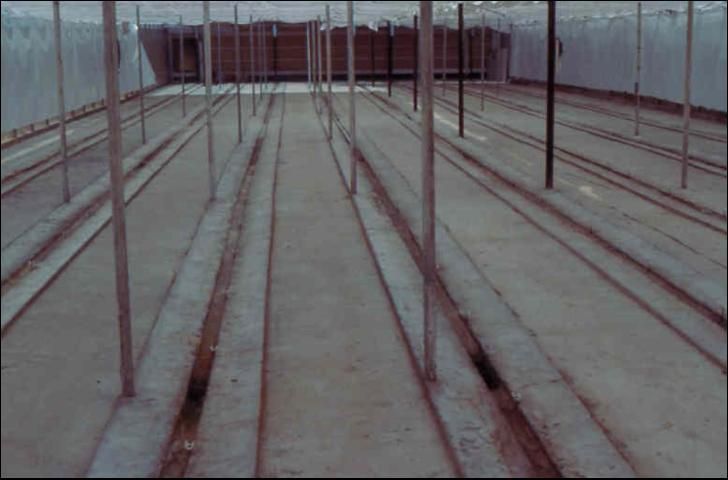 Figure 10. Inclined concrete leachate troughs on which growing bags are placed.