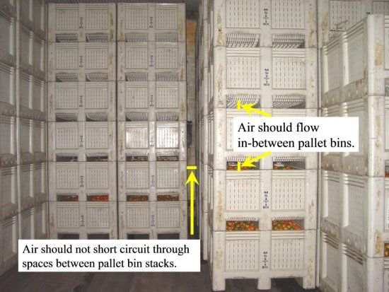 Figure 2. Degreening rooms designed to load pallet bin stacks so that wall ducts in the back of the room direct air to channels formed by the pallets and avoid wasted short-circuited air.