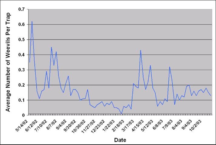 Figure 7. Weekly average number of Diaprepes weevils per 100 Tedders traps. DeSoto County, Florida. May 14, 2002 - October 23, 2003.