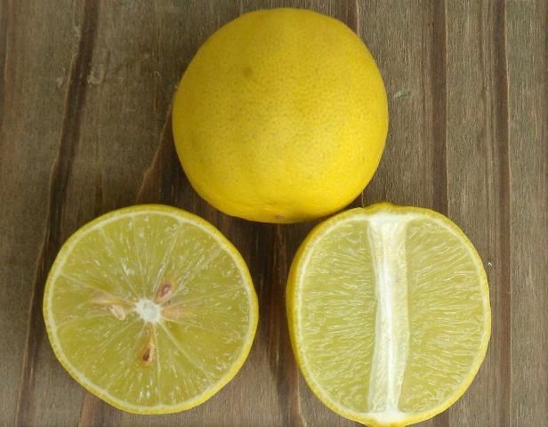 Dos limones criollos de color amarillo sobre una mesa. Uno está completo pero el otro está picado por la mitad y se ve la pulpa y las semillas.