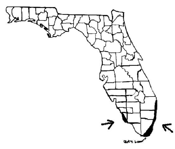Mapa de Florida en blanco y negro con áreas al sur este y suroeste sombreadas.