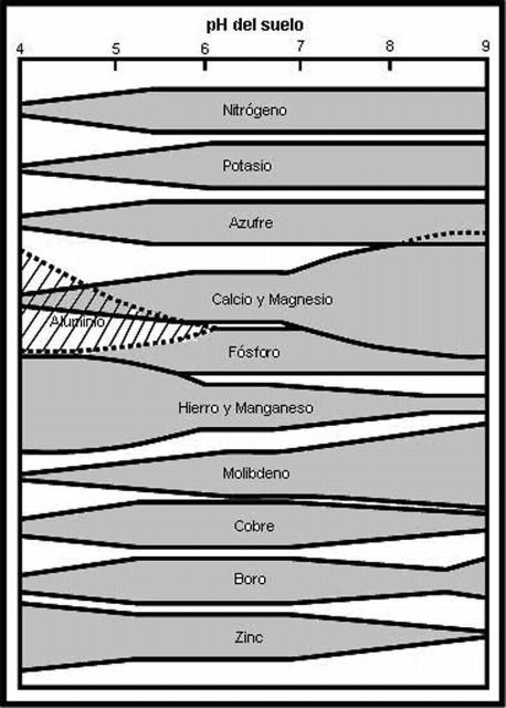 Figure 3. Relación entre pH del suelo y disponibilidad de nutrientes para la planta. Para cada elemento, entre mas ancha la banda, mas disponibilidad de elemento.