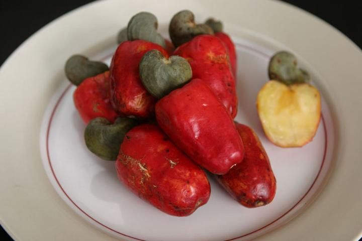 A pile of 6 bright red mature cashew apple fruits and nuts on a plate with a smaller sliced cashew apple showing yellowish-white flesh.