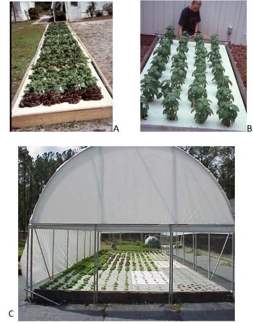 Figure 5. Floating raft hydroponic systems in Sanford, FL, 2007.