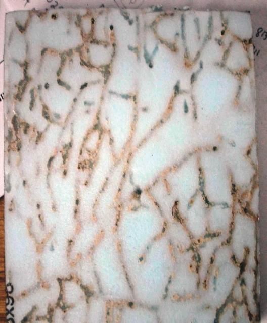 Figure 8b. Blue board insulation showing signs of termite tunneling.