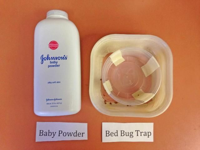 Figure 7. Baby powder and finished bed bug trap.