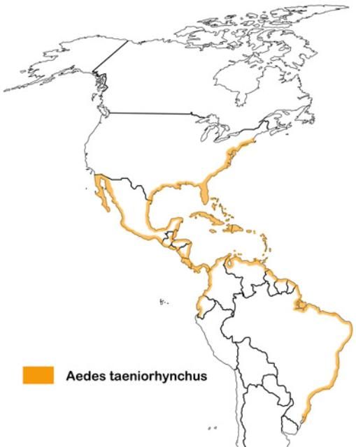 Figure 5. Aedes taeniorhynchus distribution.