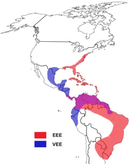 Figure 13. EEE and VEE disease distribution in the Americas.