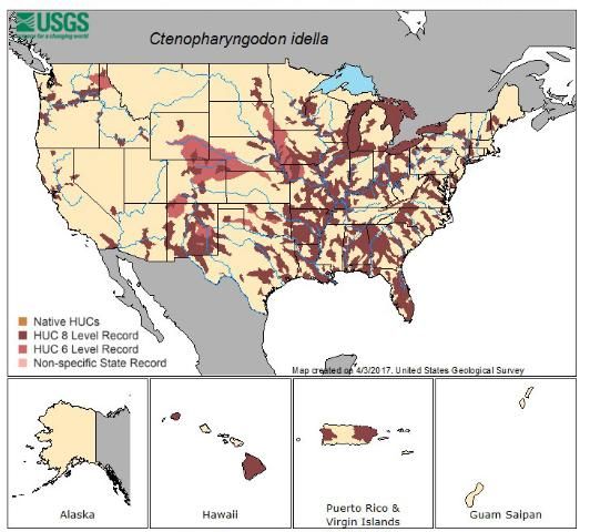 Figure 1. Distribution of grass carp, Ctenopharyngodon idella Val., in the United States as reported in the Nonindigenous Aquatic Species database at the U.S. Geological Survey (USGS).