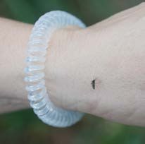 Figure 28. Mosquito bracelets, such as the one shown here, are not effective at repelling mosquitoes.