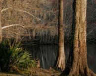 Figure 17. River backwaters.